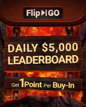 Flip & Go Dagelijkse Leaderboard