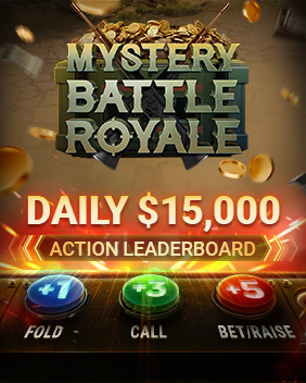 Mysterie Battle Royale